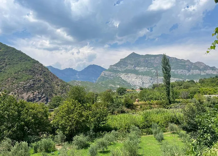 Davids Ξενοδοχείο