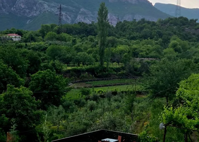 Ξενοδοχείο Davids *